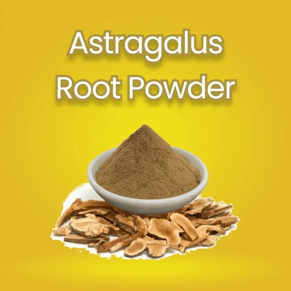 Astragalus Root Powder
