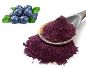 Blueberry powder selection includes both highbush and lowbush varieties, offering sweet, nutrient-rich berries perfect for fresh eating, baking, and preserves. These hardy, high-yielding plants are an excellent addition to your store and nursery's inventory, attracting gardeners with their delicious fruit and easy-to-grow nature.