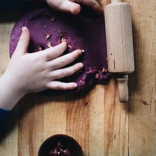 Blueberry Powder - Image 5