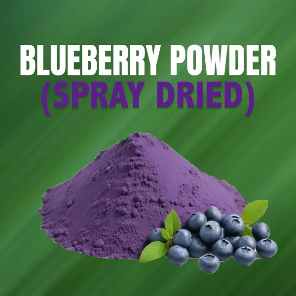 Blueberry Powder