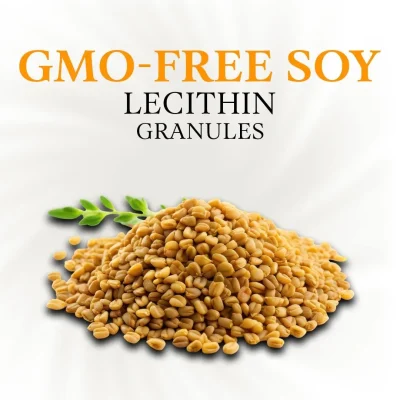 Soy Lecithin