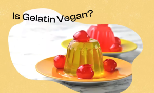 Gelatin powder