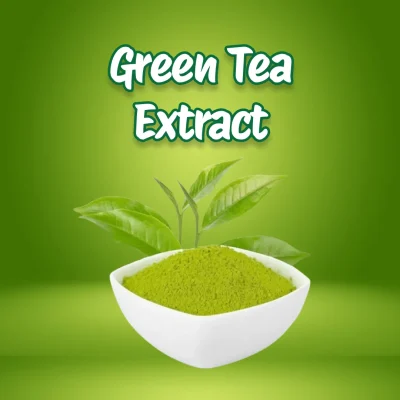 Green Tea Extract