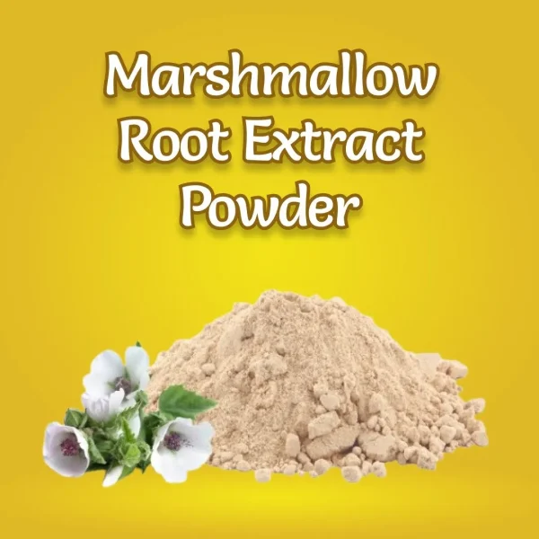 Marshmallow Root Extract Powder