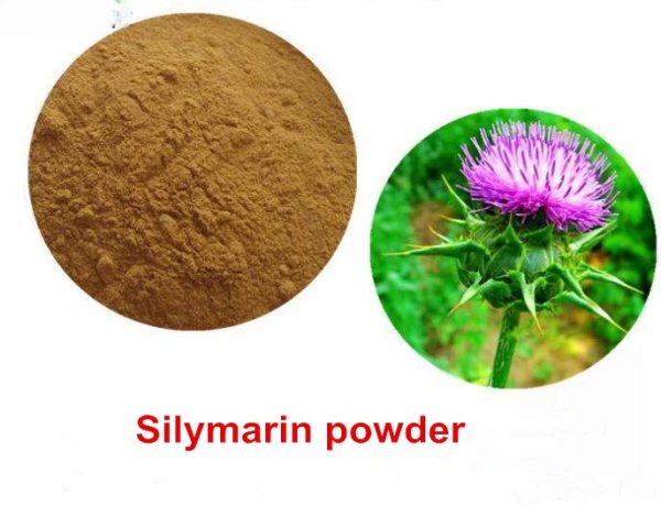 Milk Thistle Extract - Image 2