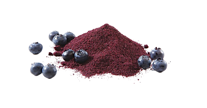 Blueberry-All You Need To Know 3 Blueberry is health and natural.