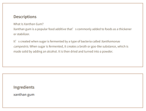Description Xanthan Gum