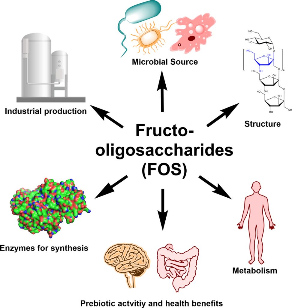 Fructo-oligosaccharide(FOS)-All You Need To Know 6 FOS 3