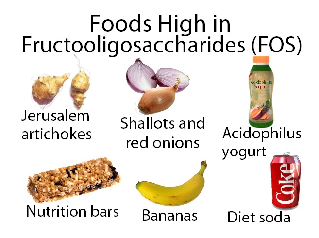 Fructo-oligosaccharide(FOS)-All You Need To Know 5 FOS 5 1