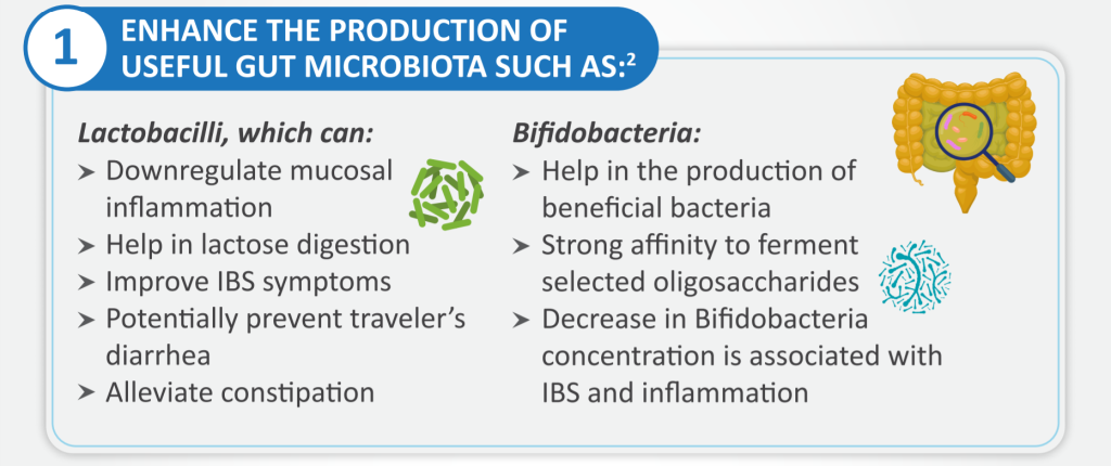 Fructo-oligosaccharide(FOS)-All You Need To Know 7 FOS 6