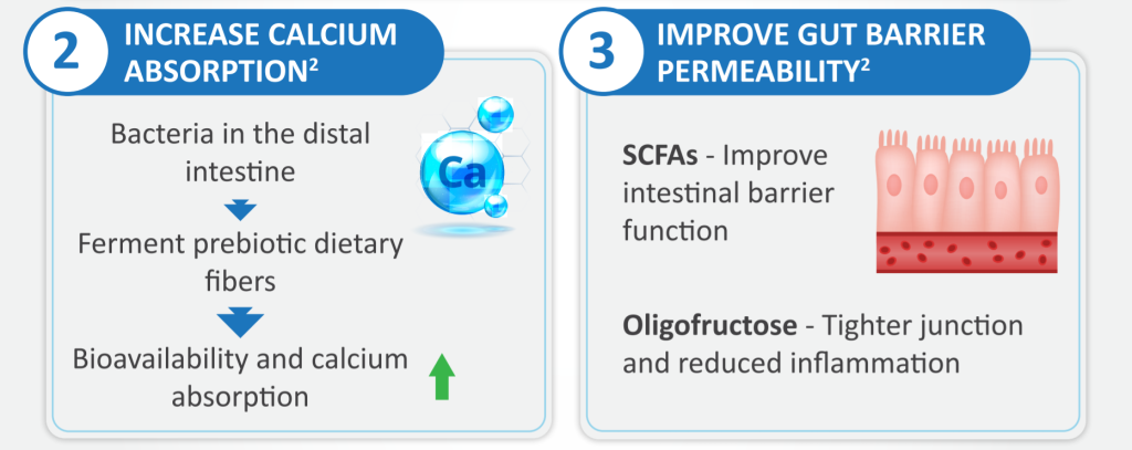Fructo-oligosaccharide(FOS)-All You Need To Know 8 FOS 7
