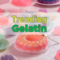 Gelatin Powder-All You Need To Know