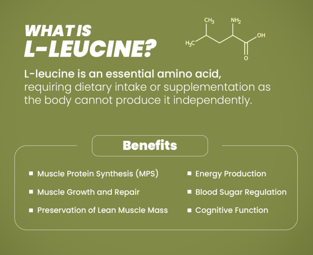 L-Leucine powder-Everything You Need To Know 3 L-Leucine Powder is one of the 3 essential branched chain amino acids. These amino acids can be used by skeletal muscle to give energy during exercise. Eating foods that have complete protein gives enough of these amino acids.
