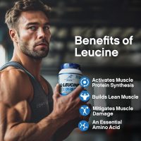 L-Leucine powder-Everything You Need To Know