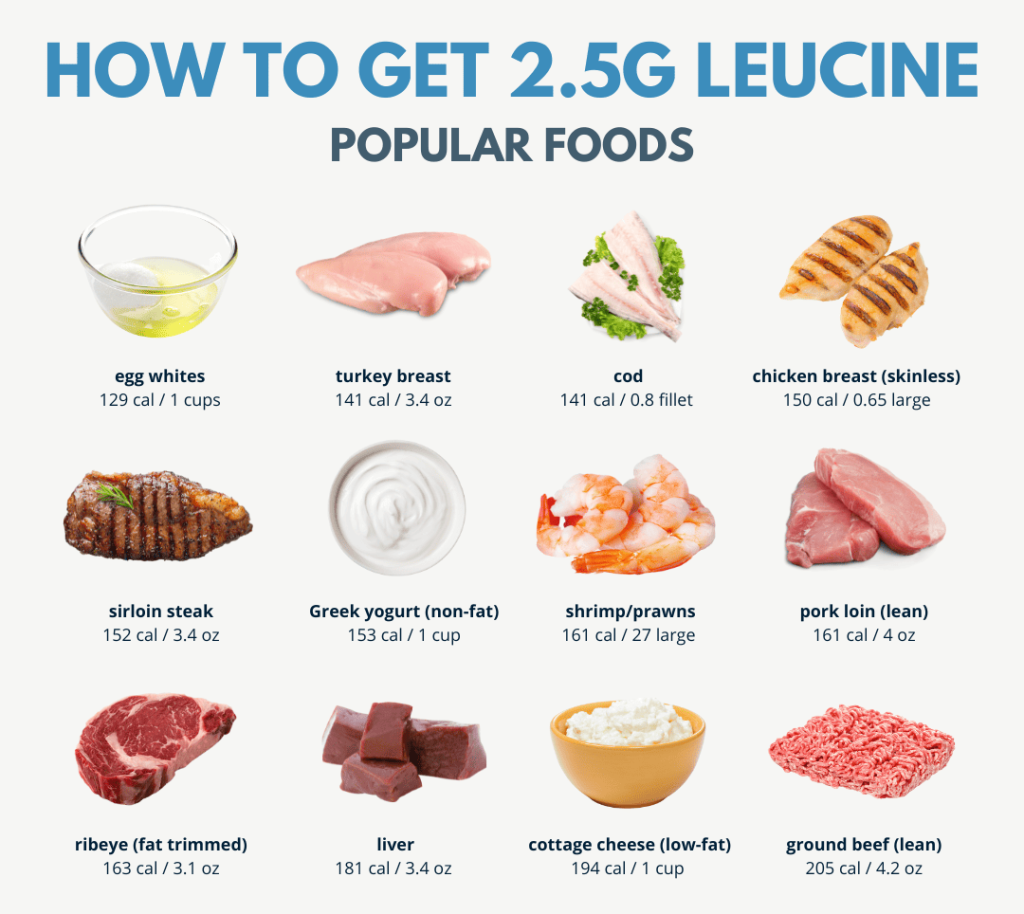 L-Leucine powder-Everything You Need To Know 5 L Leucine 9