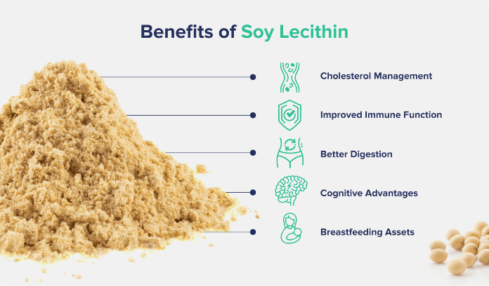 Soy Lecithin-All You Need To Know 4 Soy Lethicin 2