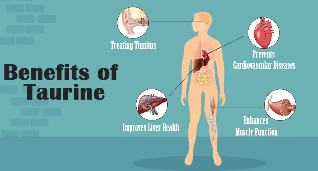 Taurine powder-All You Need To Know 4 Taurine