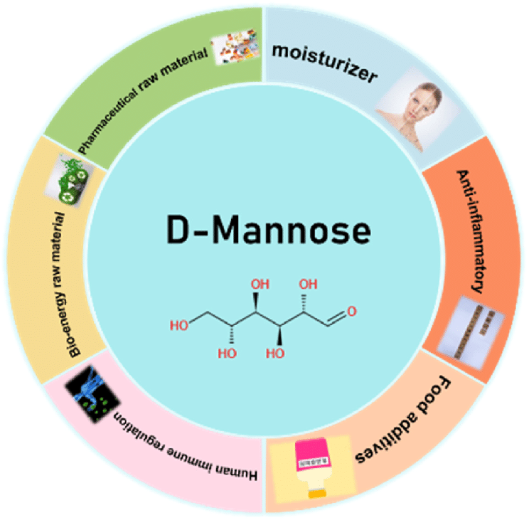 Mannose: A versatile tool from microorganisms to cosmetics 6 D mannose 8 1