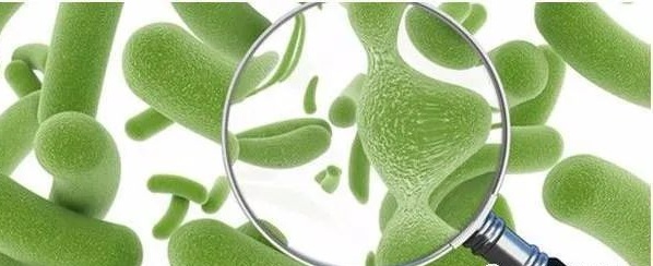 Exploration of the core characteristics, health benefits, processes, and future trends of Xylo-oligosaccharides 5 XOS 14